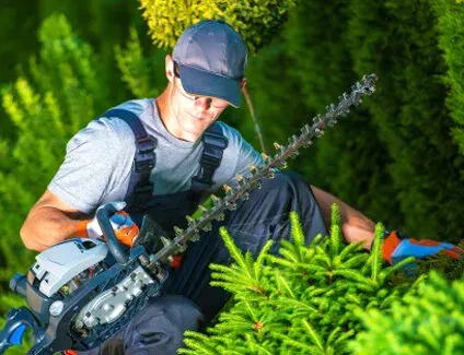 Un paysagiste qui taille une haie